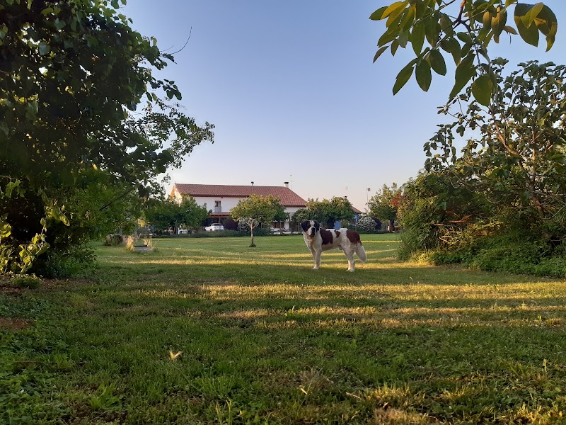 Agriturismo Il Podere in Vedelago, Italy