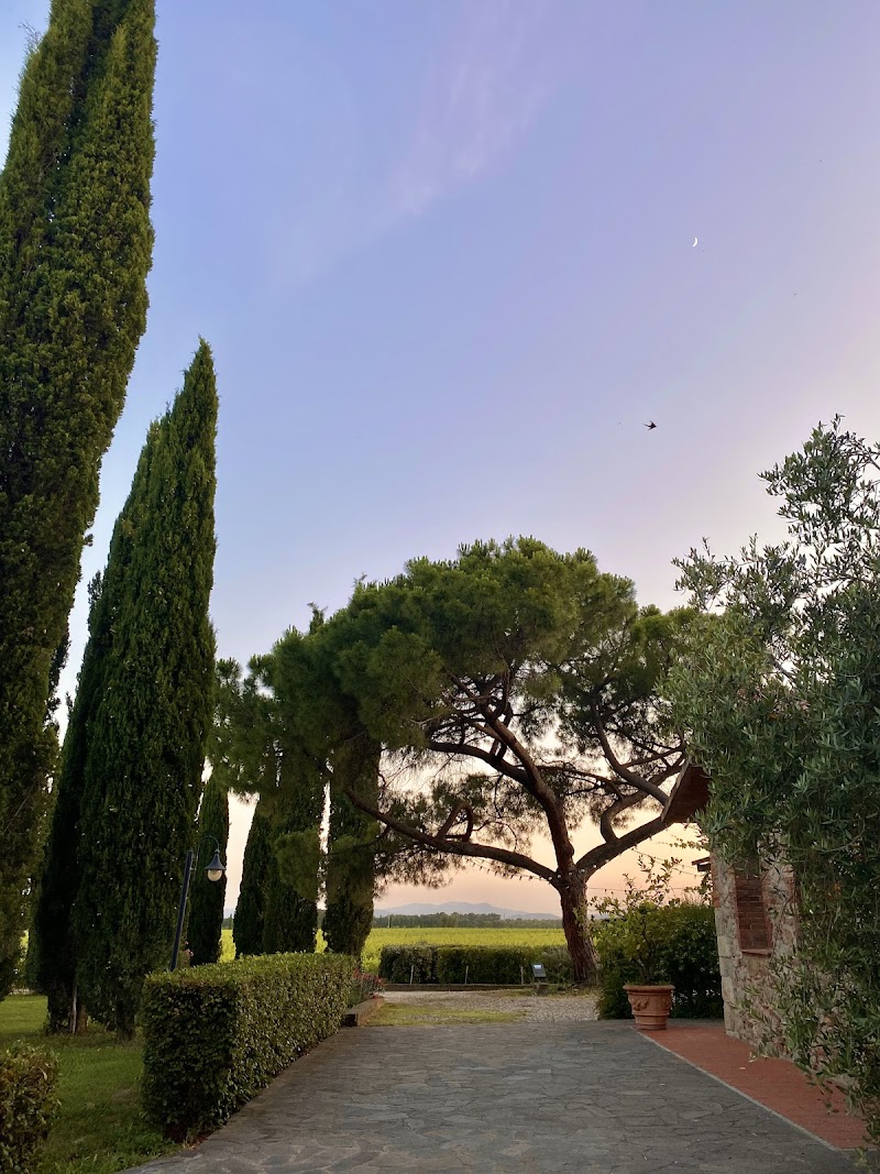 Agriturismo Il Poggiarello in Roccastrada, Italy