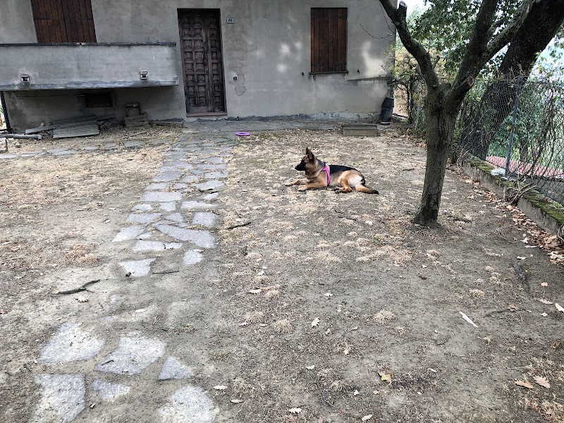 Agriturismo Il Vecchio Borgo in Castellarano, Italy