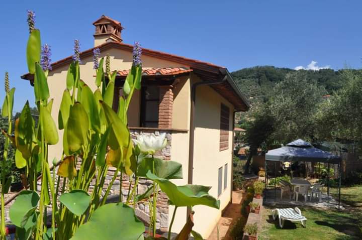 Agriturismo La Ninfea in Massarosa, Italy