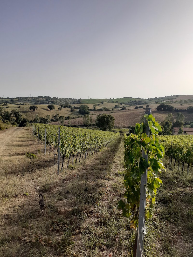 Agriturismo Le Lupinaie in Roccastrada, Italy