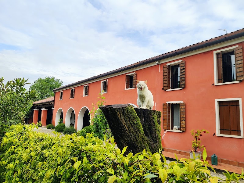 Agriturismo Le Rondini in Vigodarzere, Italy