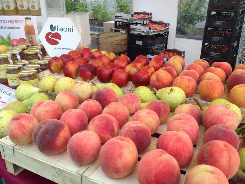 Agriturismo Leoni in Correggio, Italy