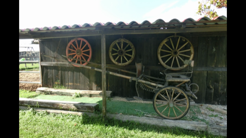 Agriturismo Menego SS di Simonatto Lucio in Portogruaro, Italy