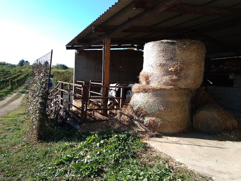 Agriturismo Nonna Maria in Montebelluna, Italy