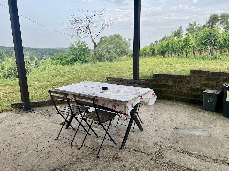 Agriturismo Podere Mazzana in Montopoli in Val d'Arno, Italy