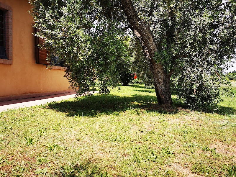 Agriturismo Podere Noe in Roccastrada, Italy