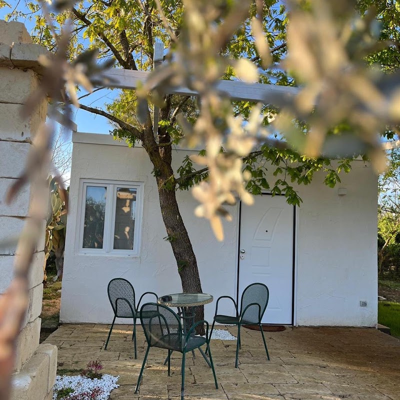 Agriturismo Tenuta la Monaca in Aradeo, Italy