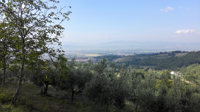 Agriturismo Villa Carolina in San Giustino, Italy