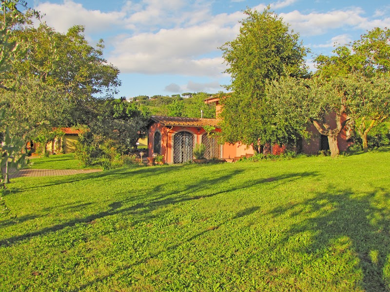 Ai Glicini Castelli Romani in Marino, Italy