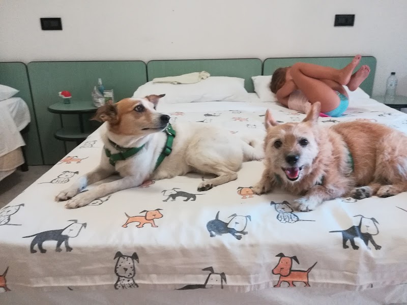 Albergo Corallo in Comacchio, Italy