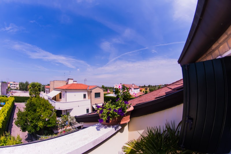 Alle Ortensie in Albignasego, Italy