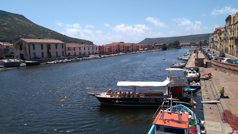 Alloro in Villacidro, Italy