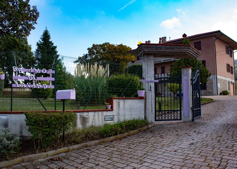 Amor di Lavanda in Cingoli, Italy