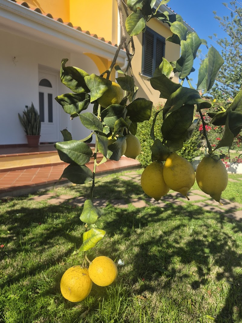 Appi Family in Capoterra, Italy