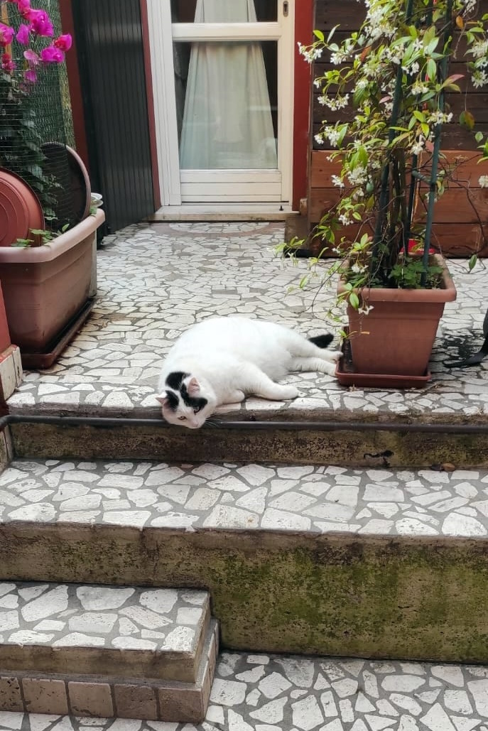 Argenta B&B in Argenta, Italy