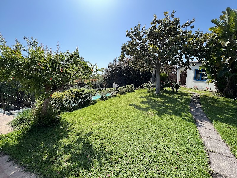 Avocado in Giardini, Italy