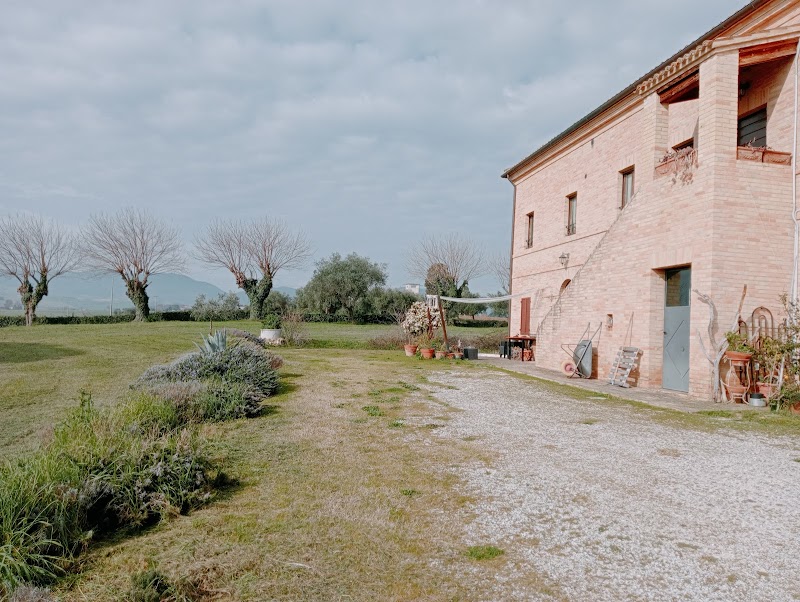 B&B Antichi Gelsi in Treia, Italy