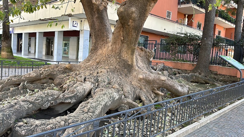 BB Belvedere Sorrento in Sorrento, Italy