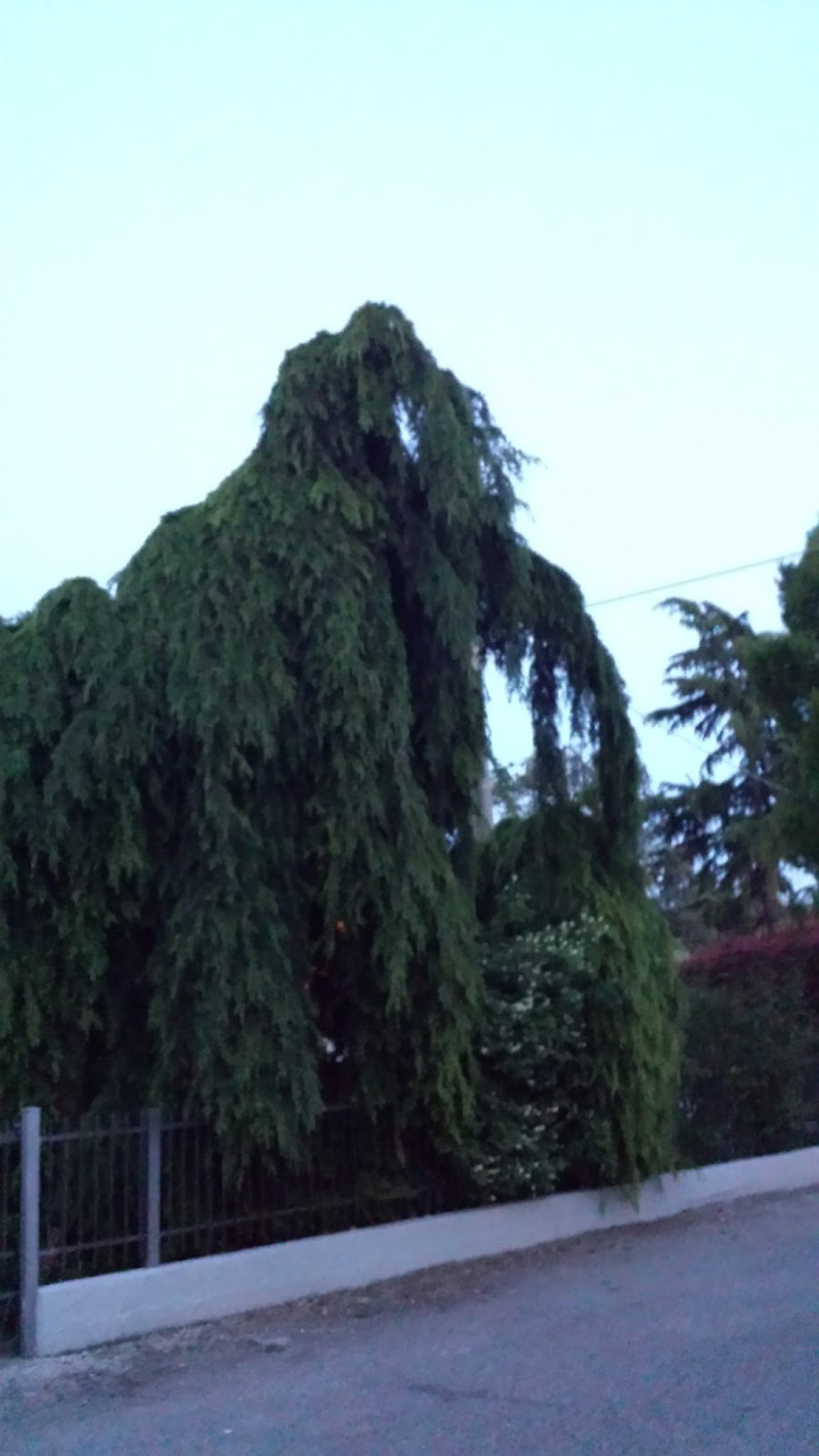 B&B Casa Boscolo in Piove di Sacco, Italy