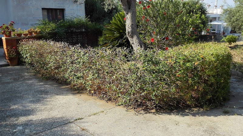 B&B Celona B in Augusta, Italy