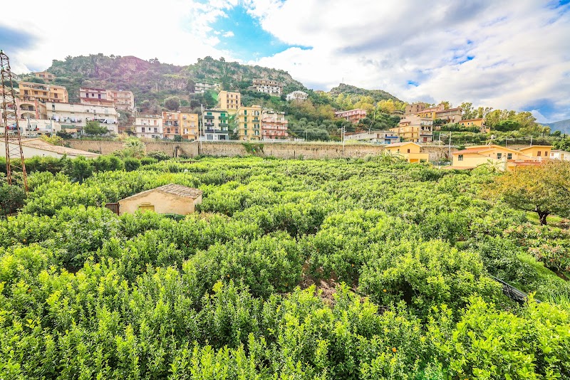 B&B Giardino dei Cedri Trabia in Trabia, Italy