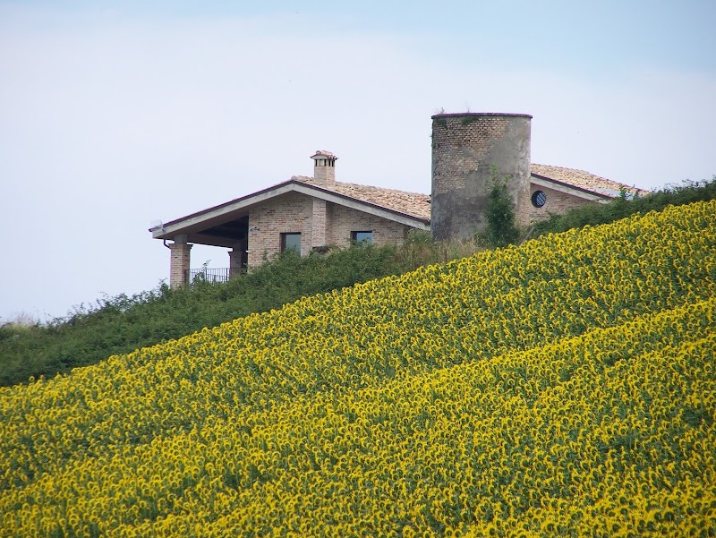 B&B Hill Panorama in Citta Sant'Angelo, Italy