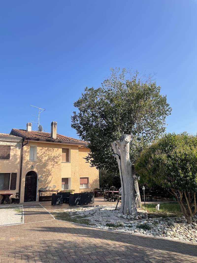 B&B Il Cantinoccio in Coriano, Italy