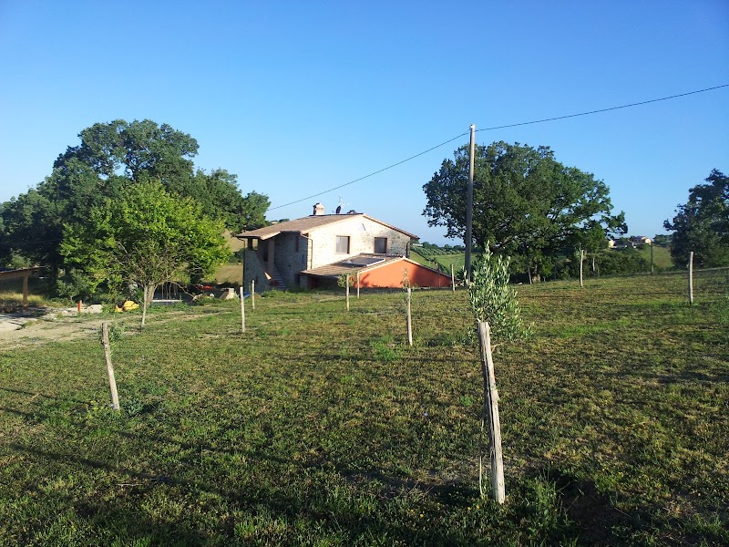 B&B Il Ciocco in Gualdo Tadino, Italy