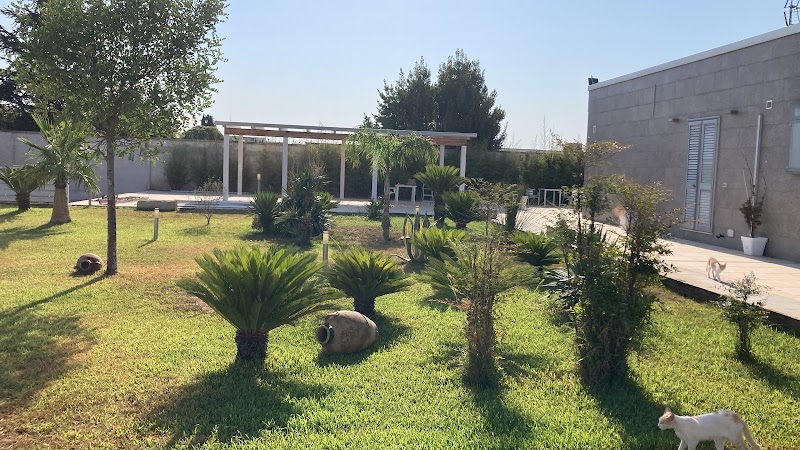 B&B Italia in Carmiano, Italy