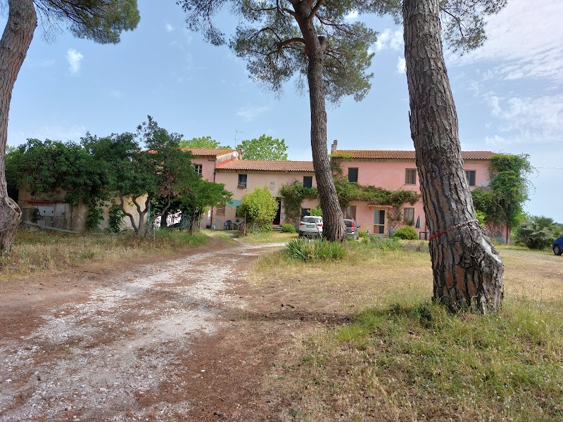 B&B Le Tagliate in Vecchiano, Italy