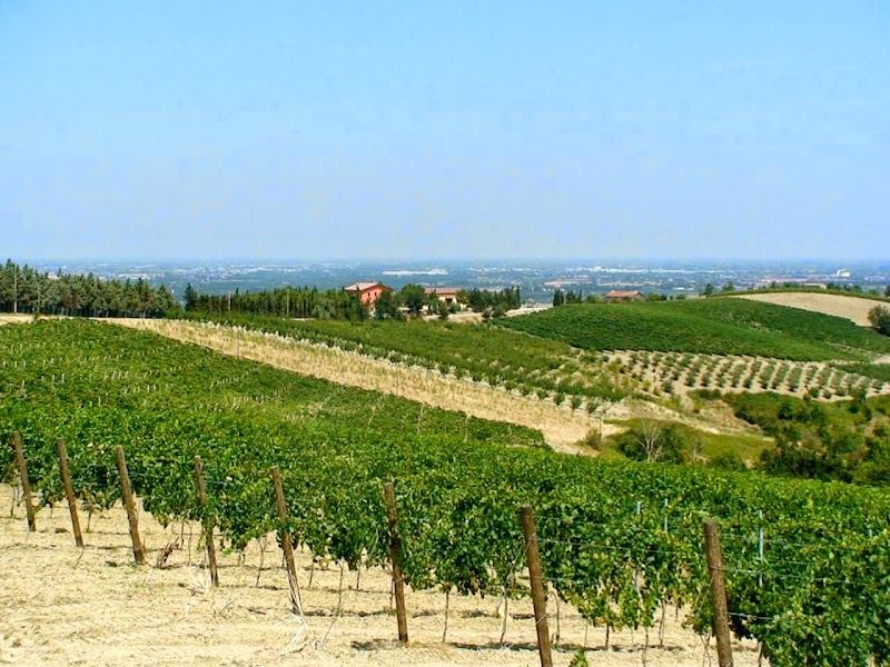 B&B Tenuta Stefenelli in Meldola, Italy