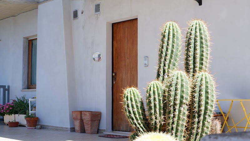 B&B del Cactus in Corridonia, Italy