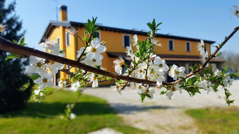 Borgo Borromeo by Guardavaglia Diego in Rubano, Italy