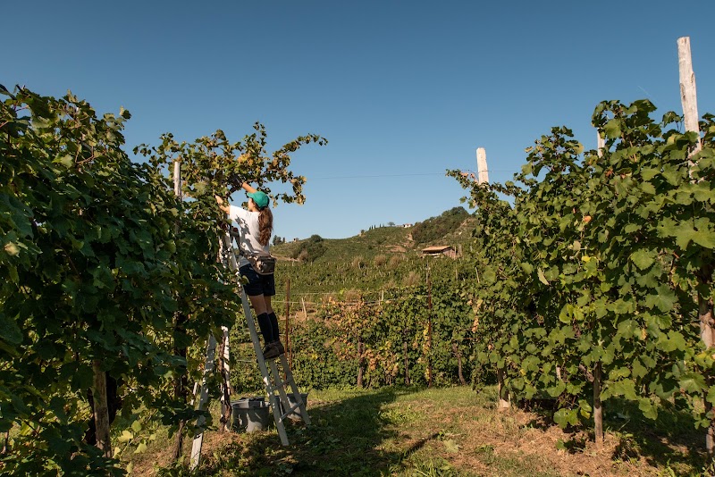 Borgo dei Vettor in Valdobbiadene, Italy