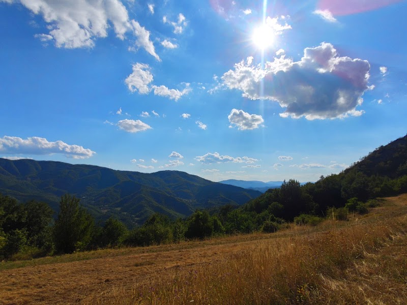 Bosco al Sole in Sesto Fiorentino, Italy