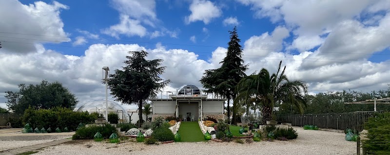 Bubble World Wild Love in Adelfia, Italy