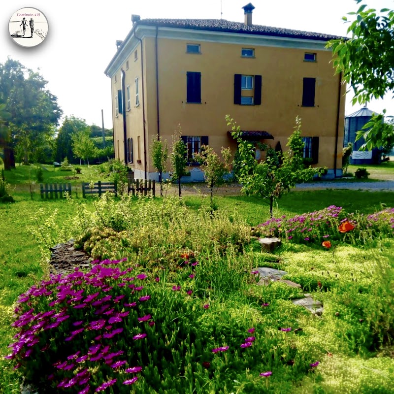 Caminata 415 in Fiorenzuola d'Arda, Italy