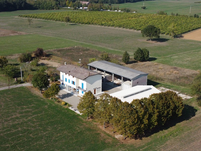 Des Artistes in Albinea, Italy