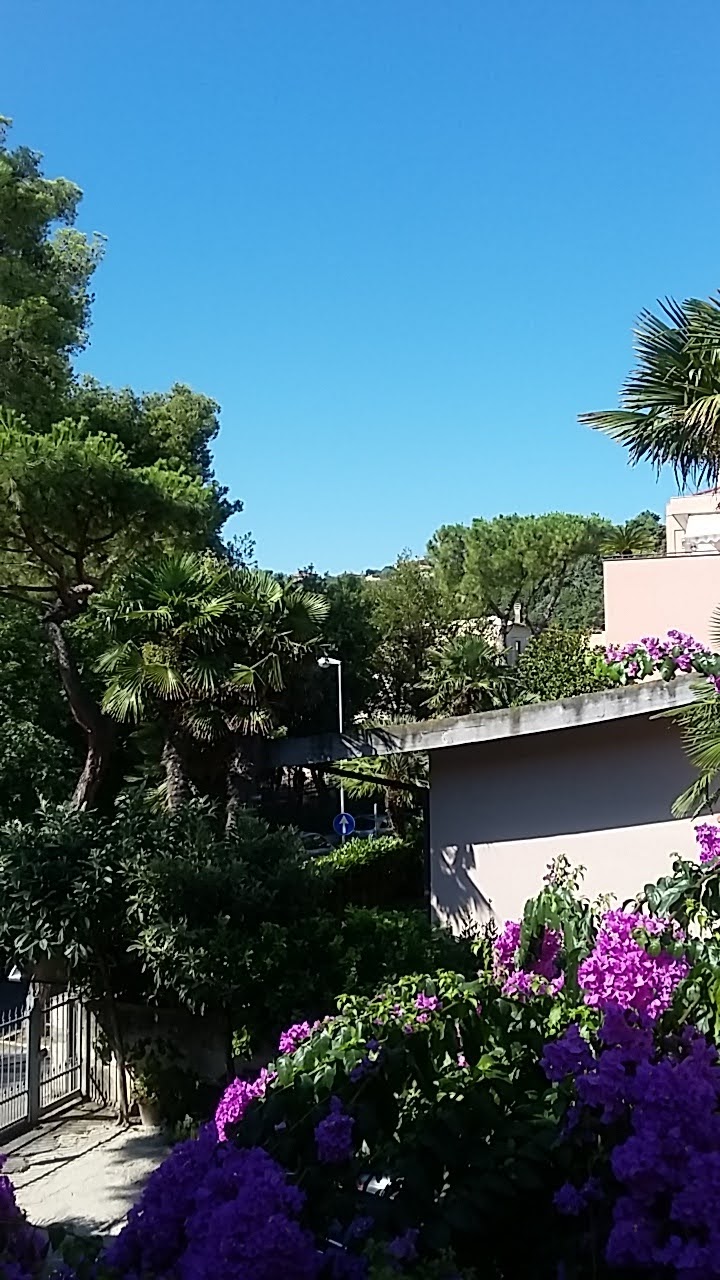 Dido in Roseto degli Abruzzi, Italy