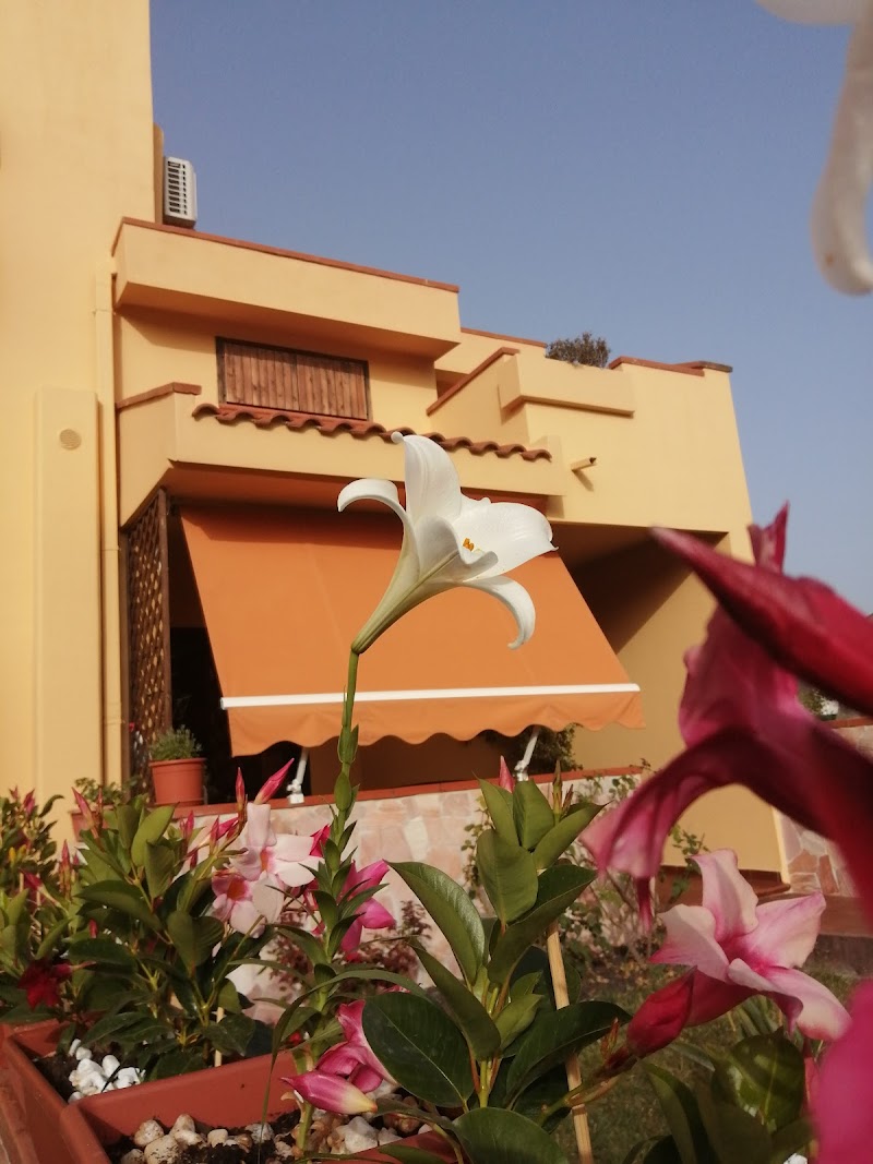 Domomea in Quartu Sant'Elena, Italy