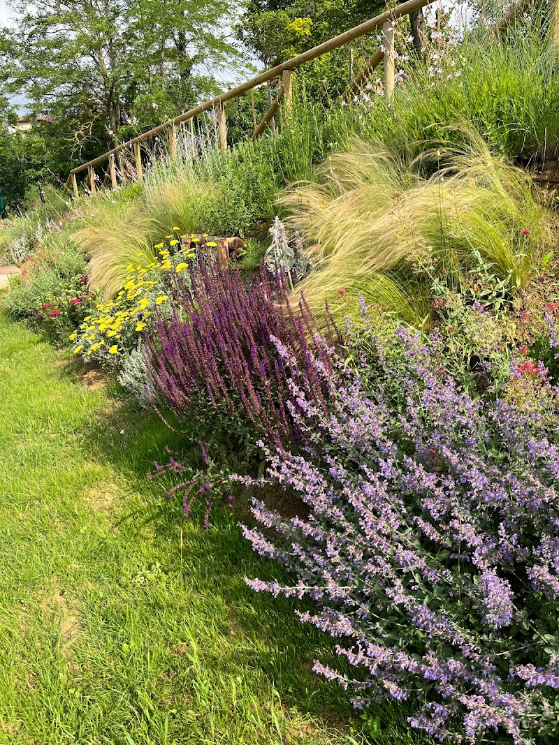 Eden and Komorebi in Chieri, Italy