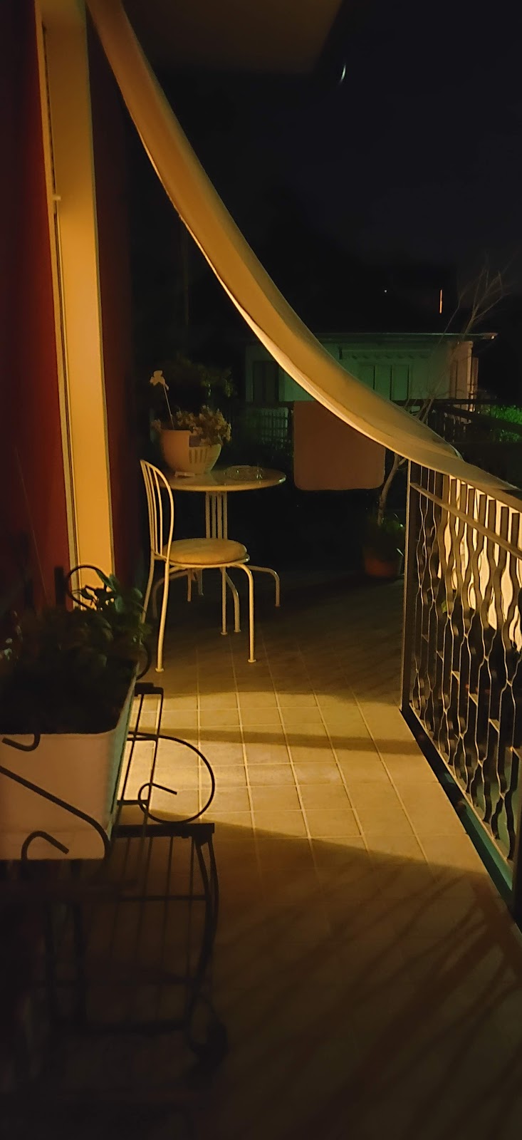 Elly in Sesto Calende, Italy