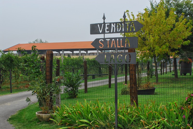 Fattoria Rossi in Quattro Castella, Italy