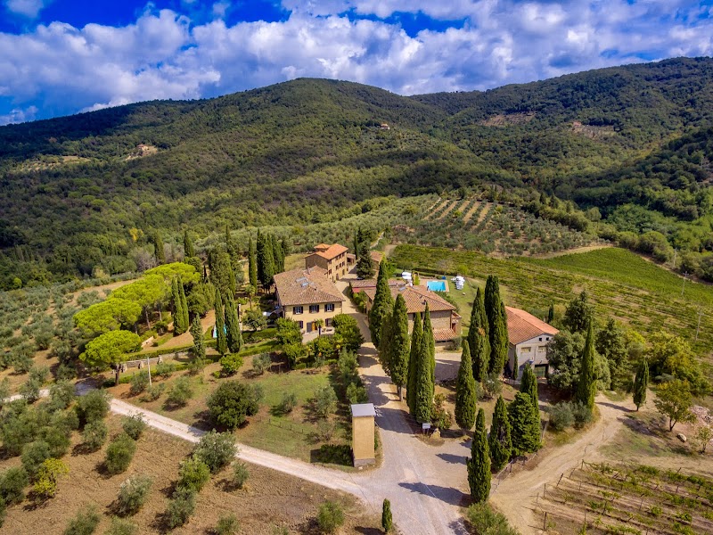 Fattoria Santo Stefano Di Bendinelli Elena E Fratelli in Strada, Italy