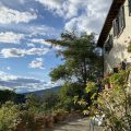 Fiesole in Giardino B&B