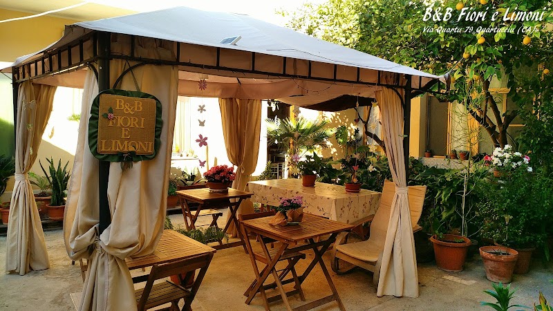 Fiori e Limoni in Quartucciu, Italy