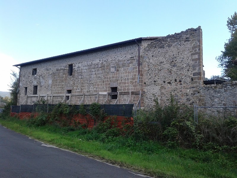 Forum Cassii in Vetralla, Italy