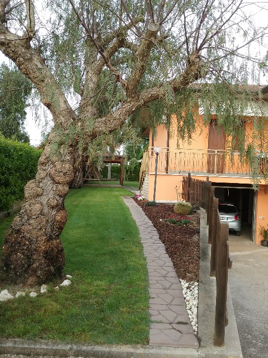 Giardino dei Semplici in Sabaudia, Italy