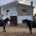 Gio Horses B&B